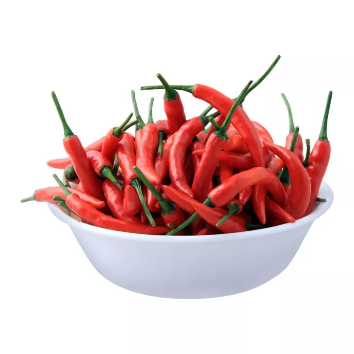 red chilli