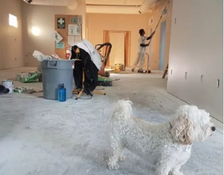 Phinesse Construction Group