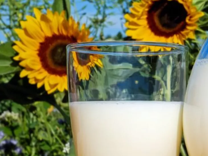 Cow milk