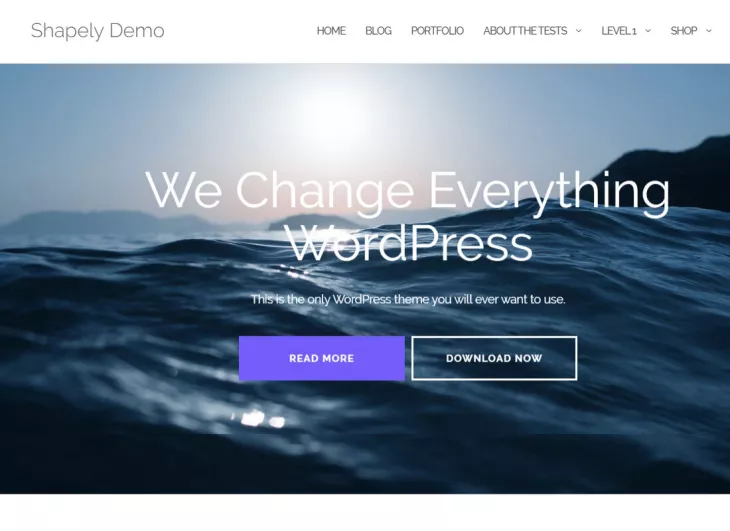 Best Free Wordpress theme
