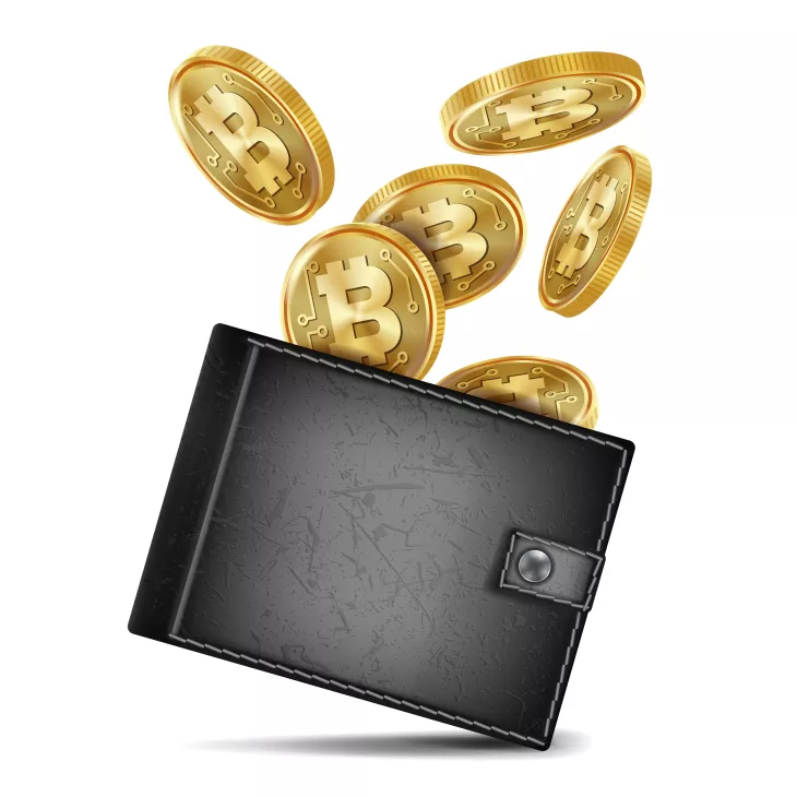 Wallet development company 