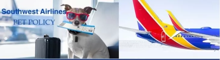 Southwest Airlines pet policy