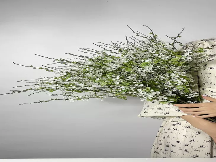 Elevate your living spaces with Exhale Home decor.