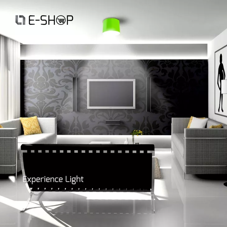 Lighting Technologies