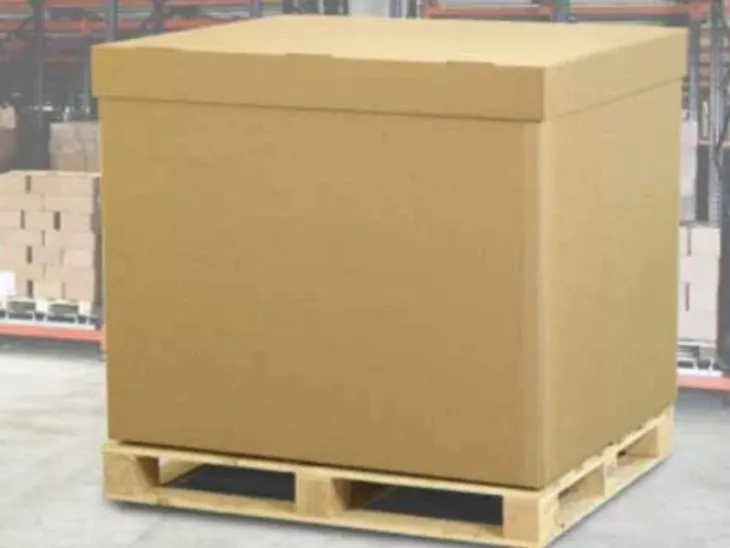 Vijay Packing Company