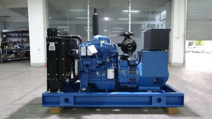Treatment Of Yuchai Generator Problem