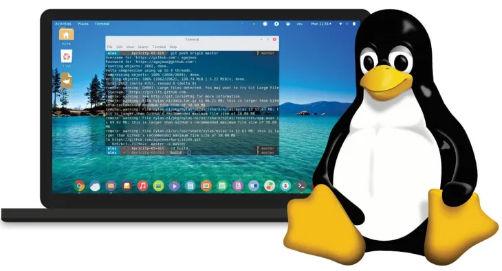 Discover the Best Linux Distros in 2026