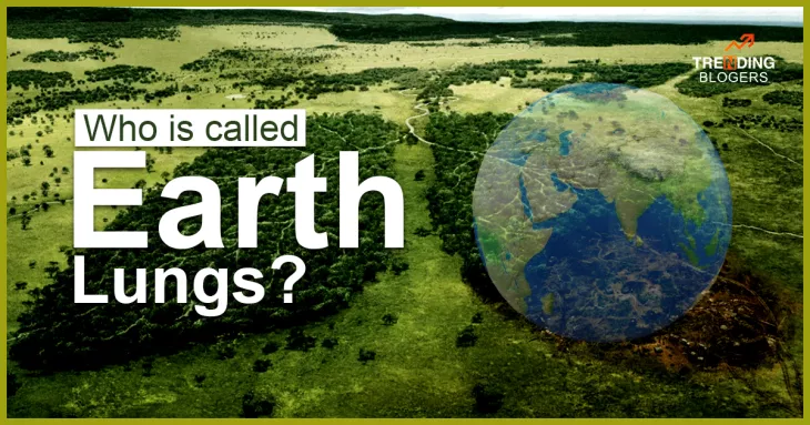 Earth Lungs