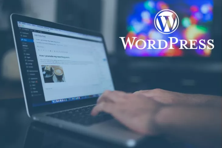 WordPress Web Developer