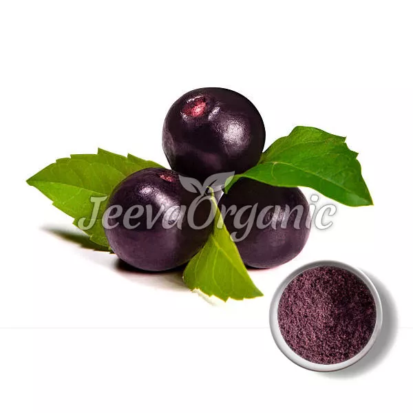 Botanical Name: Euterpe oleracea Forms Available: Powder