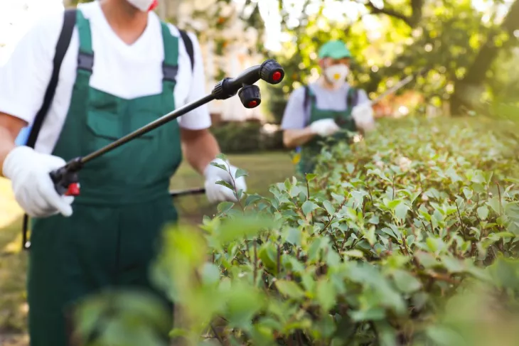 Pest Control in Montana Park