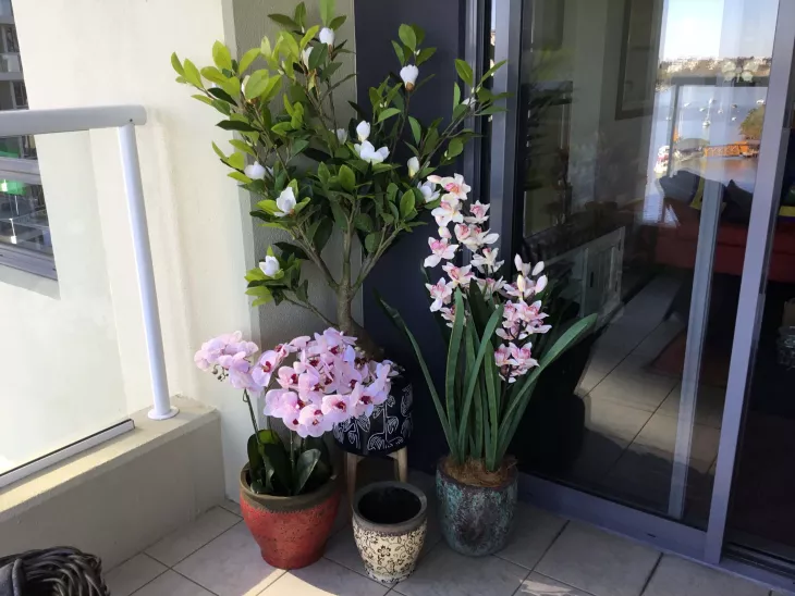 Buy Garden Planters Australia