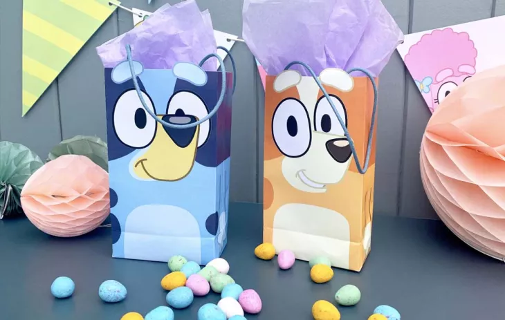 Bluey party Supplies
