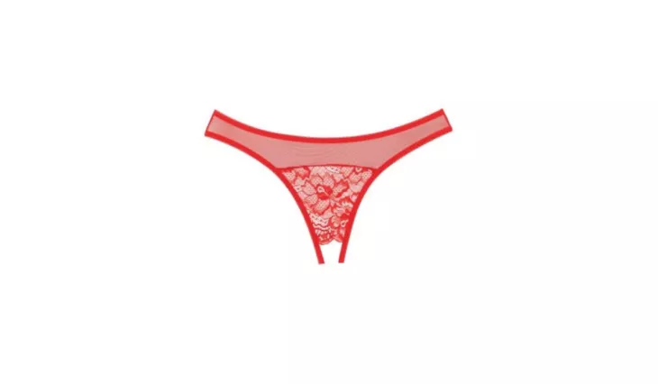 plus size lingerie