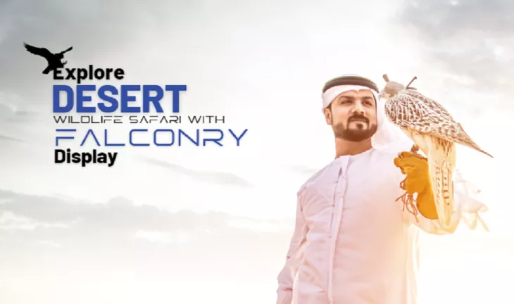 Desert Safari with Falconry Display