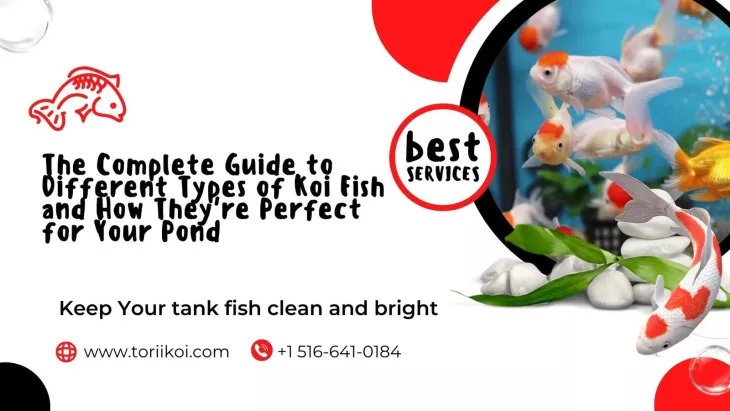 different type of koi fish