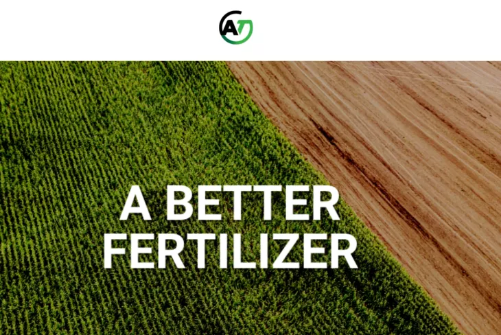 Best Fertilizer with High Phosphorus