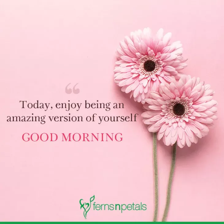 Good Morning Wishes
