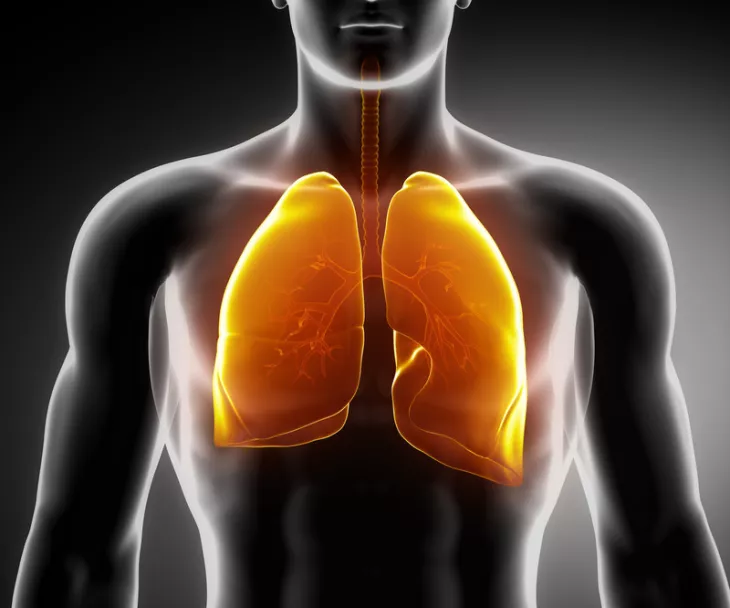 health, lung problem