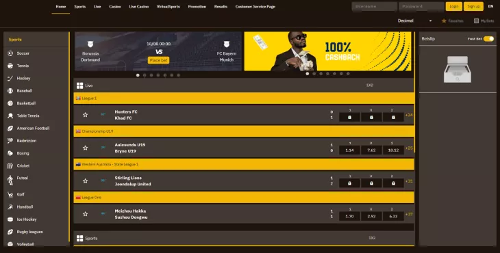 sportsbook software providers