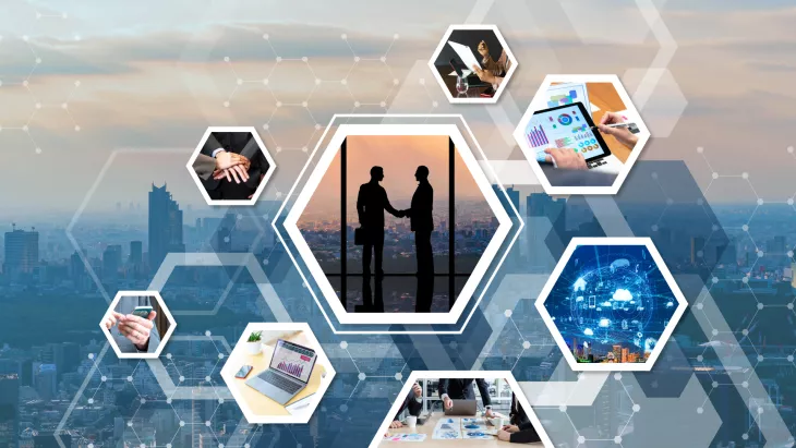 industry insights