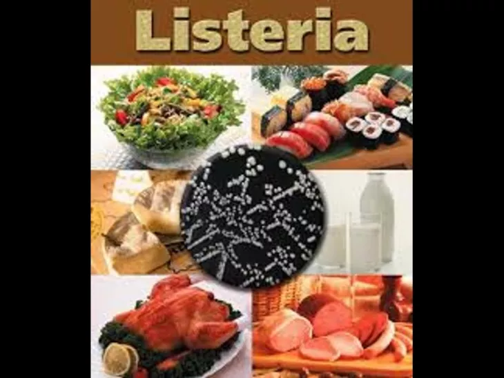 Best Listeria Lawyer in Houston