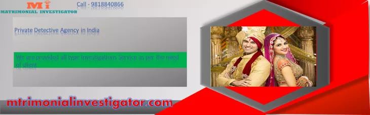 detective in delhi