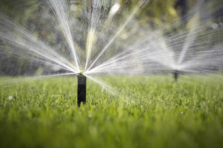 The Billy Goat is the premier lawn maintenance, landscaping and tree service company. We've been providing great services for the last 15 years.