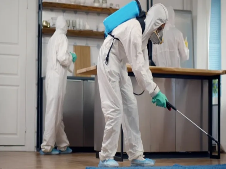 Pest Control Near Me