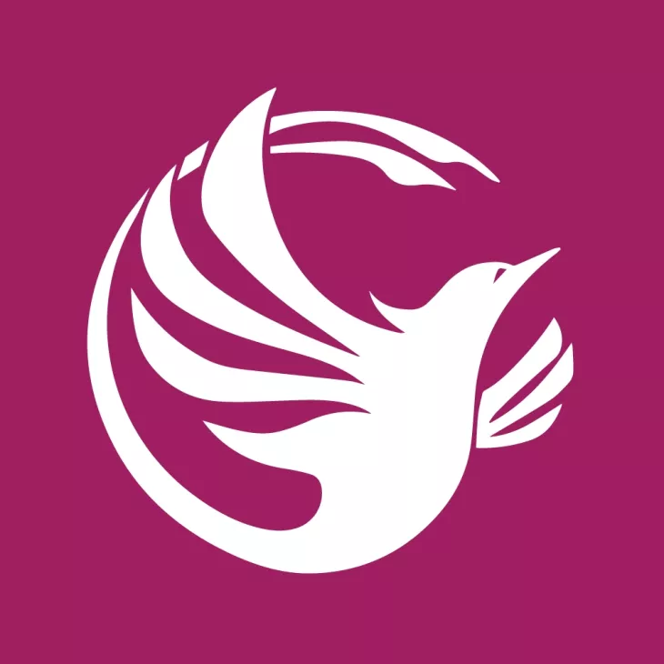 As a competitive outsourcing healthcare virtual assistant company