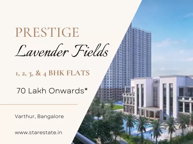prestige-lavender-fields