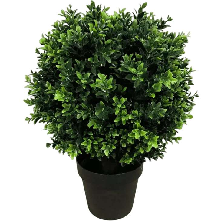 Elevate Your Indoor Gardening With Indoor Plant Pots