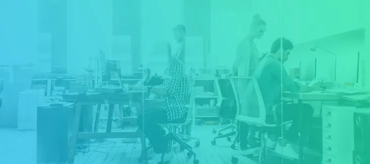 Austin Texas Web Consultant