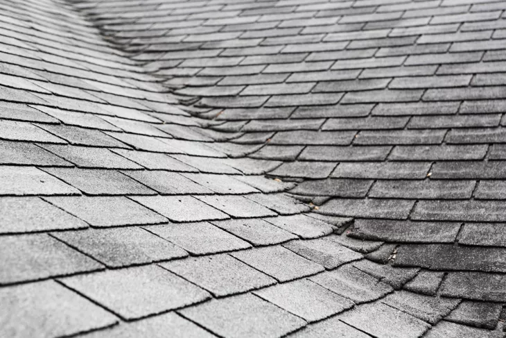 Professional Roof Installation