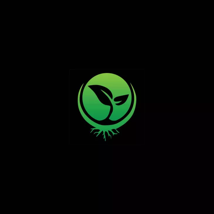 Seeds Here Now