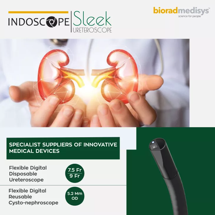 indovasive