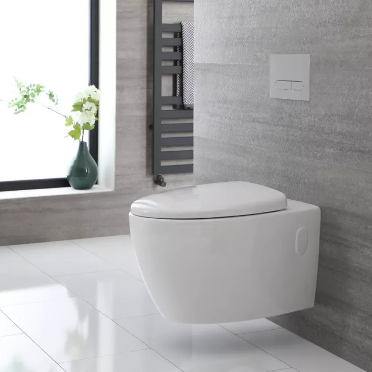 Wall mounted toilet