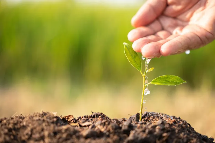 watering-soil-image