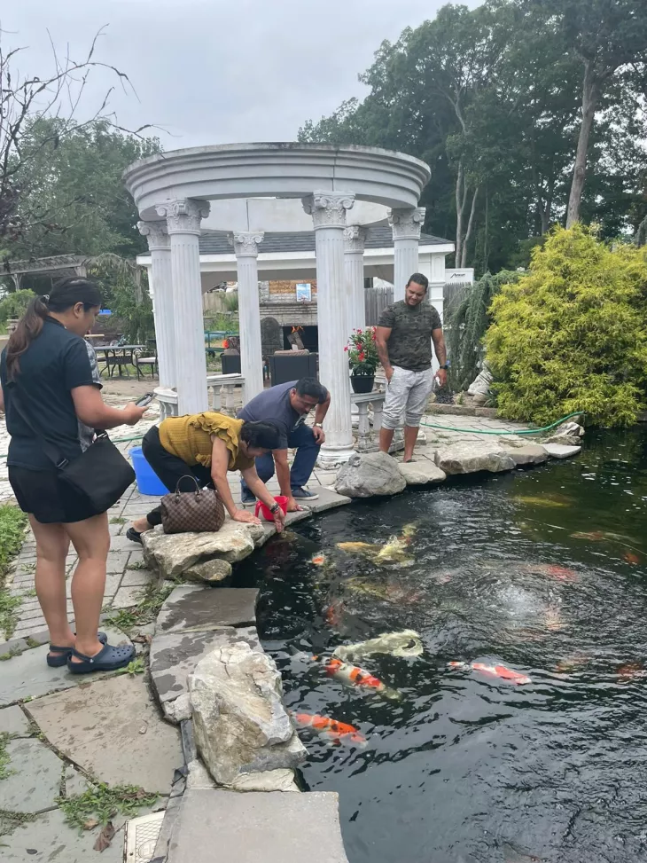 Build a Koi Pond