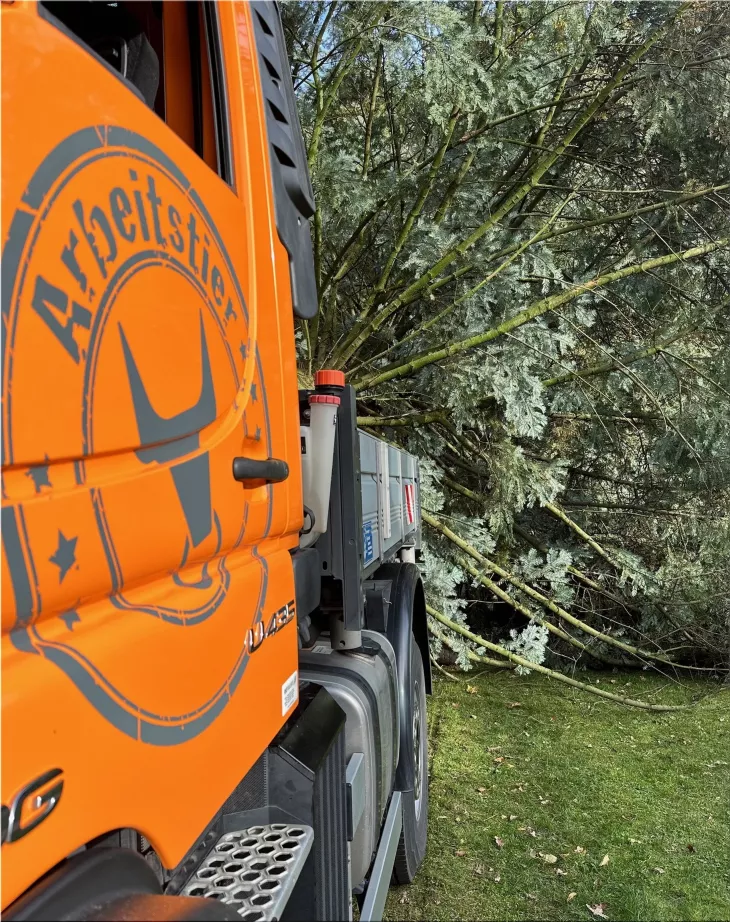 Mercedes-Benz Unimog Truck