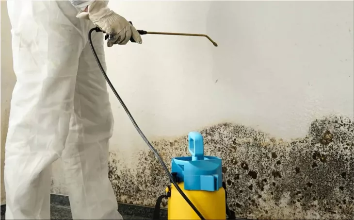Mold Remediation Specialist