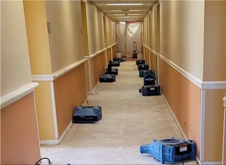 Professional Water Damage Restoration
