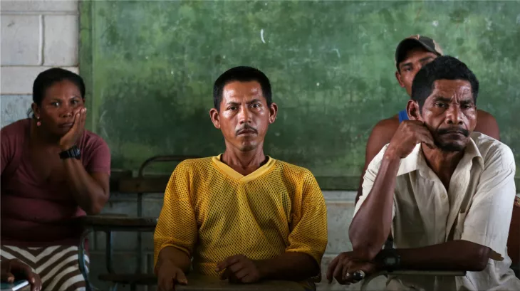 When youth, technology, and democracy work together to help forests and civilization