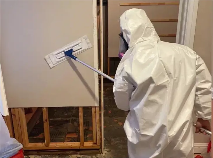 DIY Vs. Professional Water Damage Restoration - What You Need to Know