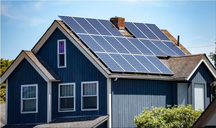 A World Worth Saving: Solutions for Environmental Preservation