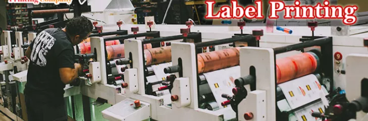 Indus Printing Provide Pharmaceutical Label Printing Company.