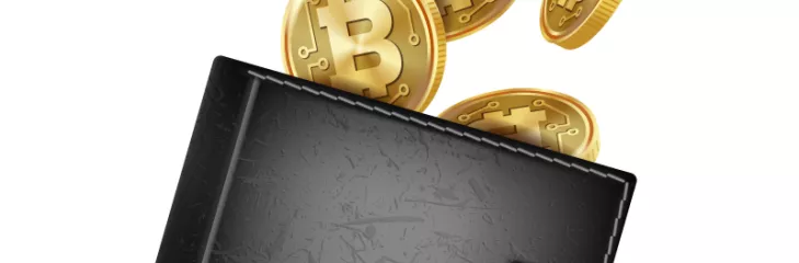 Wallet development company 