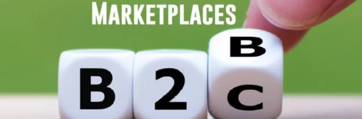 Best B2B Marketplace    