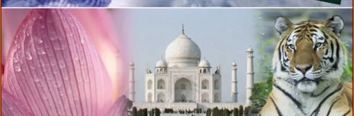 Indian e VISA.