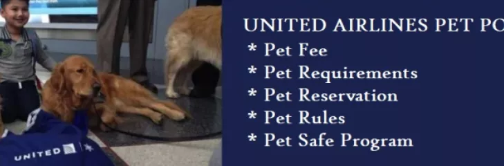 United Airlines Pet Policy